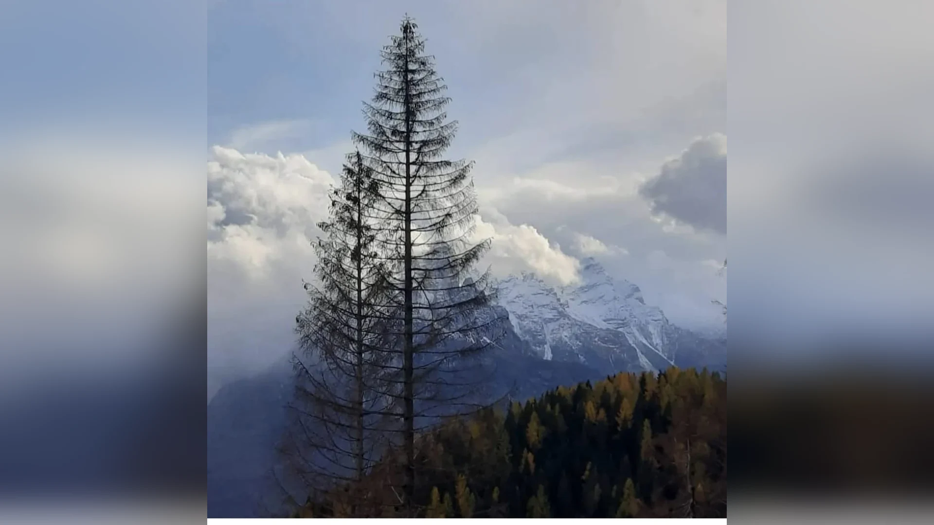 Esterni di Casa Sagui, Zoppè di Cadore (Belluno) (foto 30)