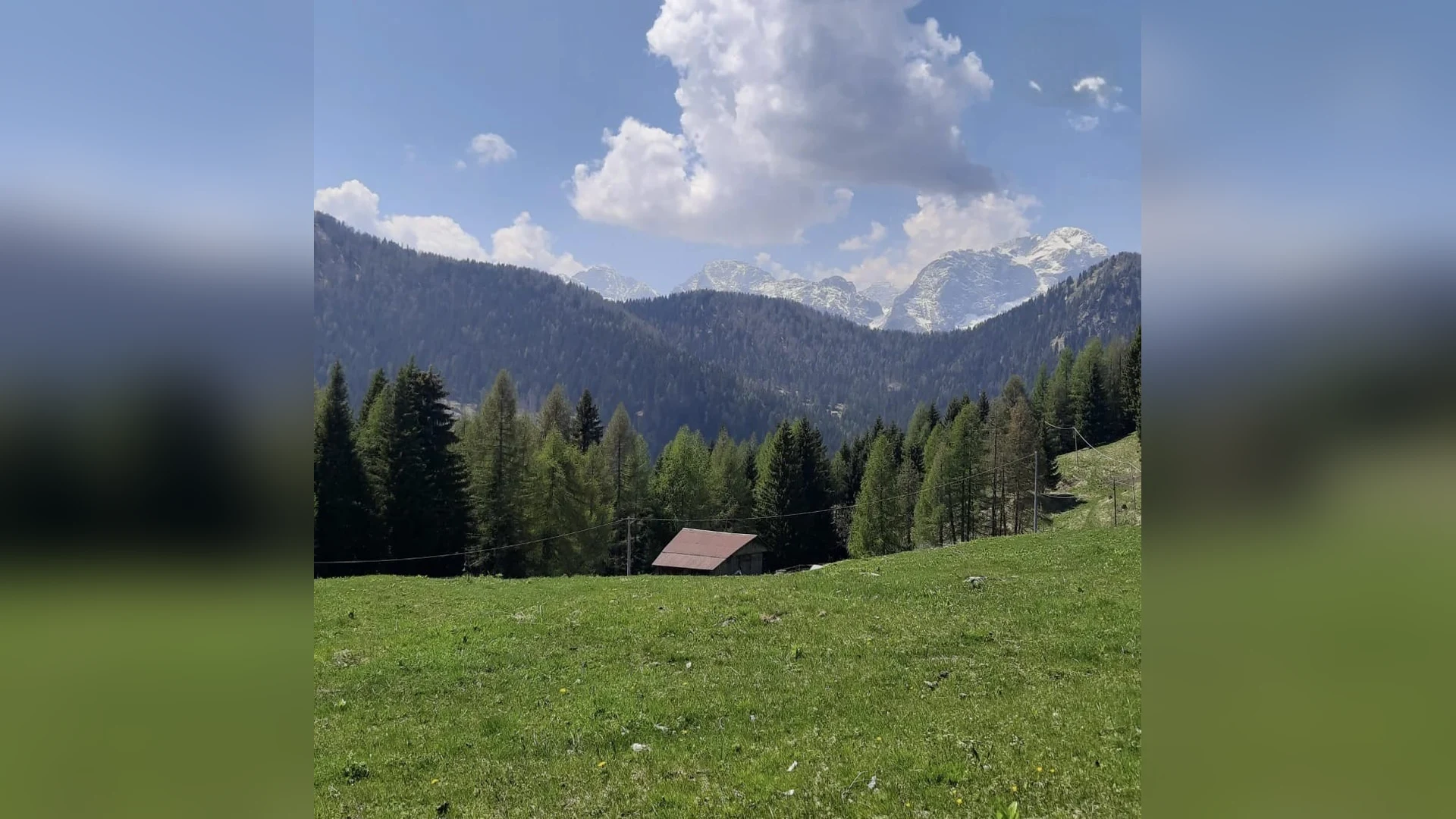 Esterni di Casa Sagui, Zoppè di Cadore (Belluno) (foto 34)