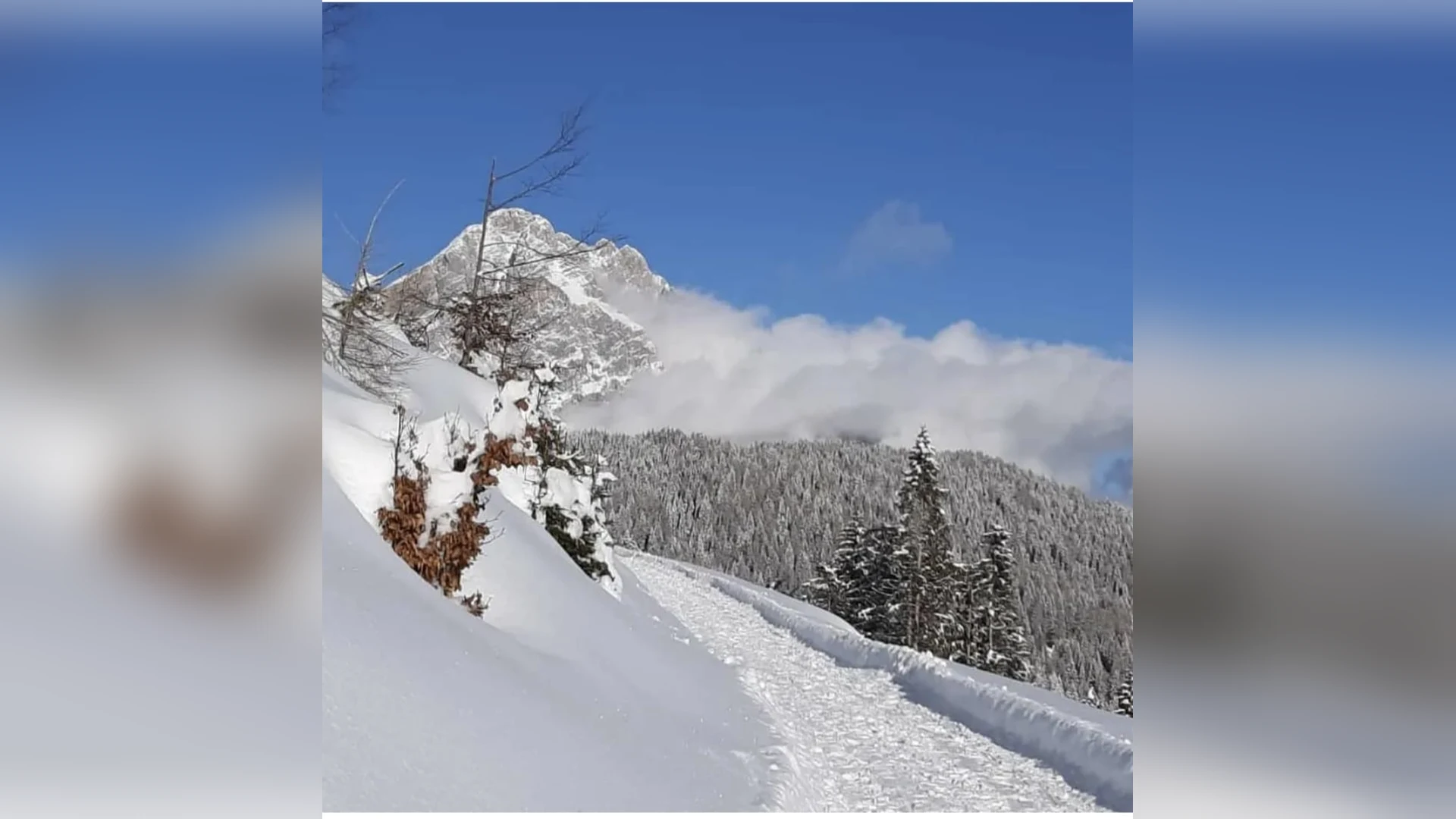 Esterni di Casa Sagui, Zoppè di Cadore (Belluno) (foto 38)