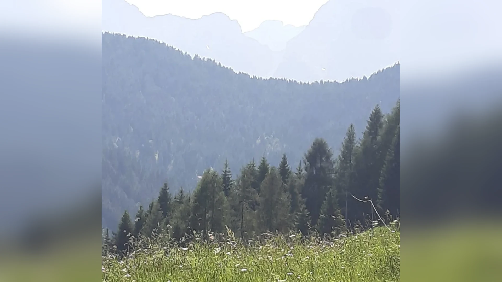 Esterni di Casa Sagui, Zoppè di Cadore (Belluno) (foto 41)