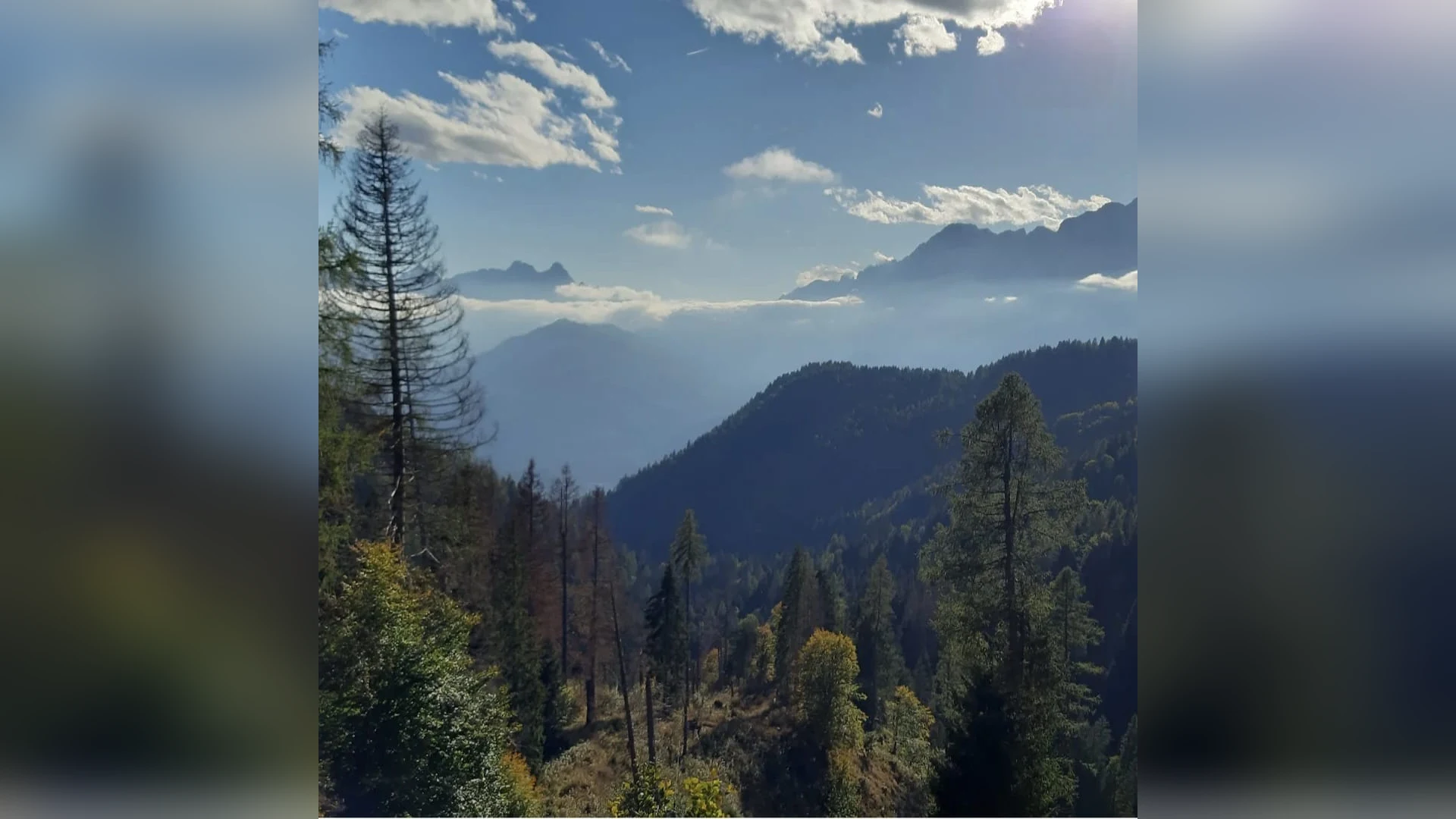 Esterni di Casa Sagui, Zoppè di Cadore (Belluno) (foto 48)