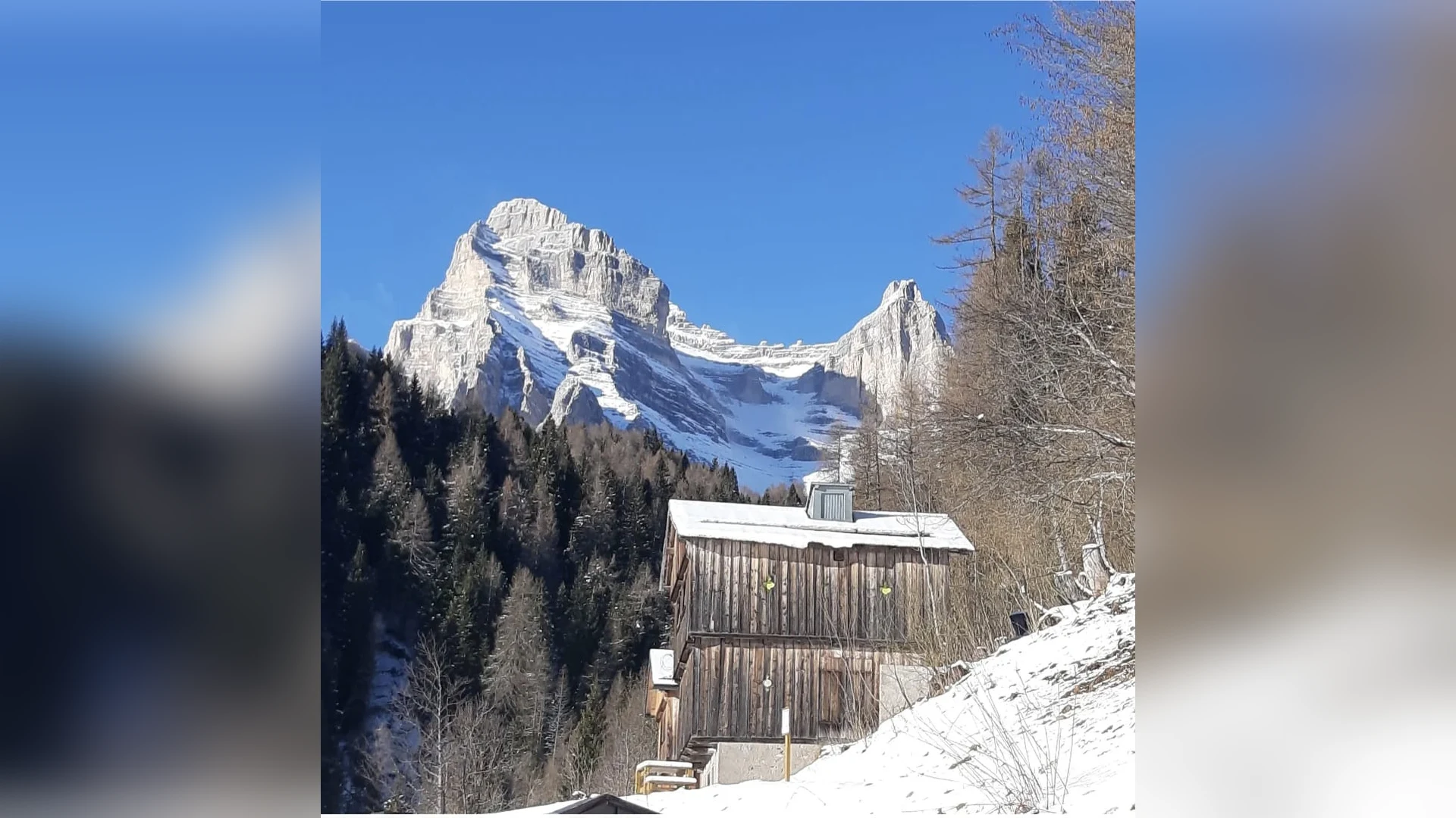 Esterni di Casa Sagui, Zoppè di Cadore (Belluno) (foto 51)