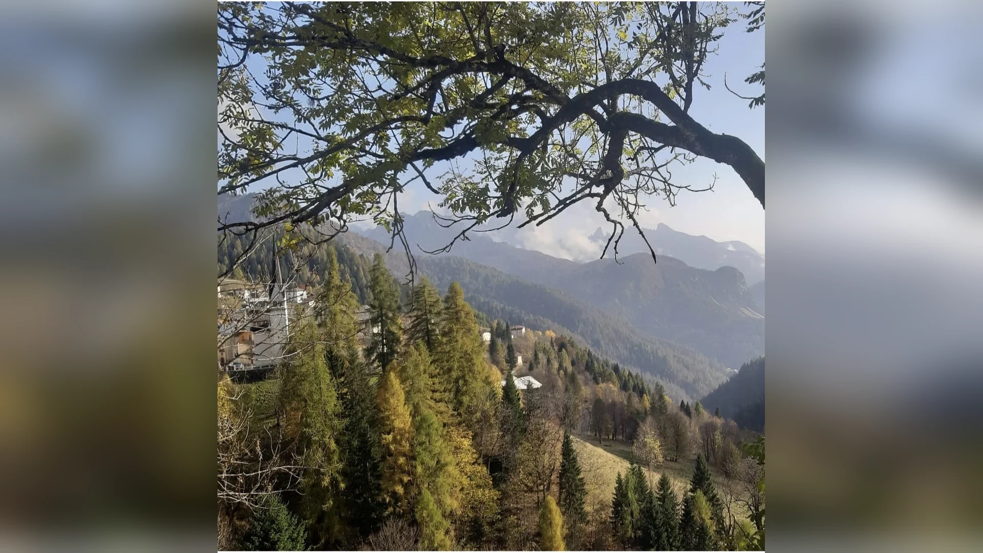 Esterni di Casa Sagui, Zoppè di Cadore (Belluno) (foto 57)