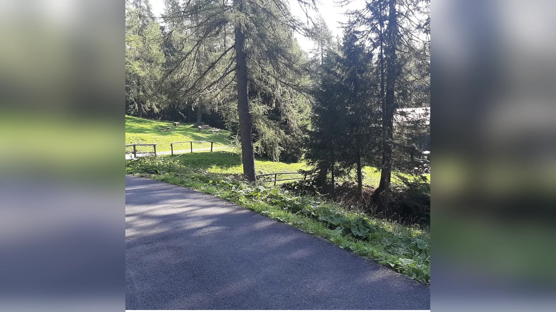 Esterni di Casa Sagui, Zoppè di Cadore (Belluno) (foto 59)