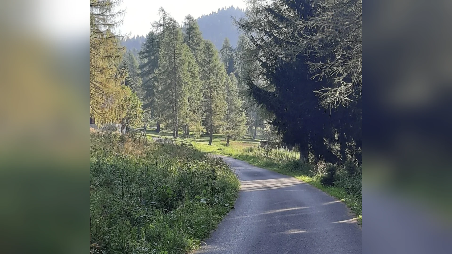 Esterni di Casa Sagui, Zoppè di Cadore (Belluno) (foto 60)