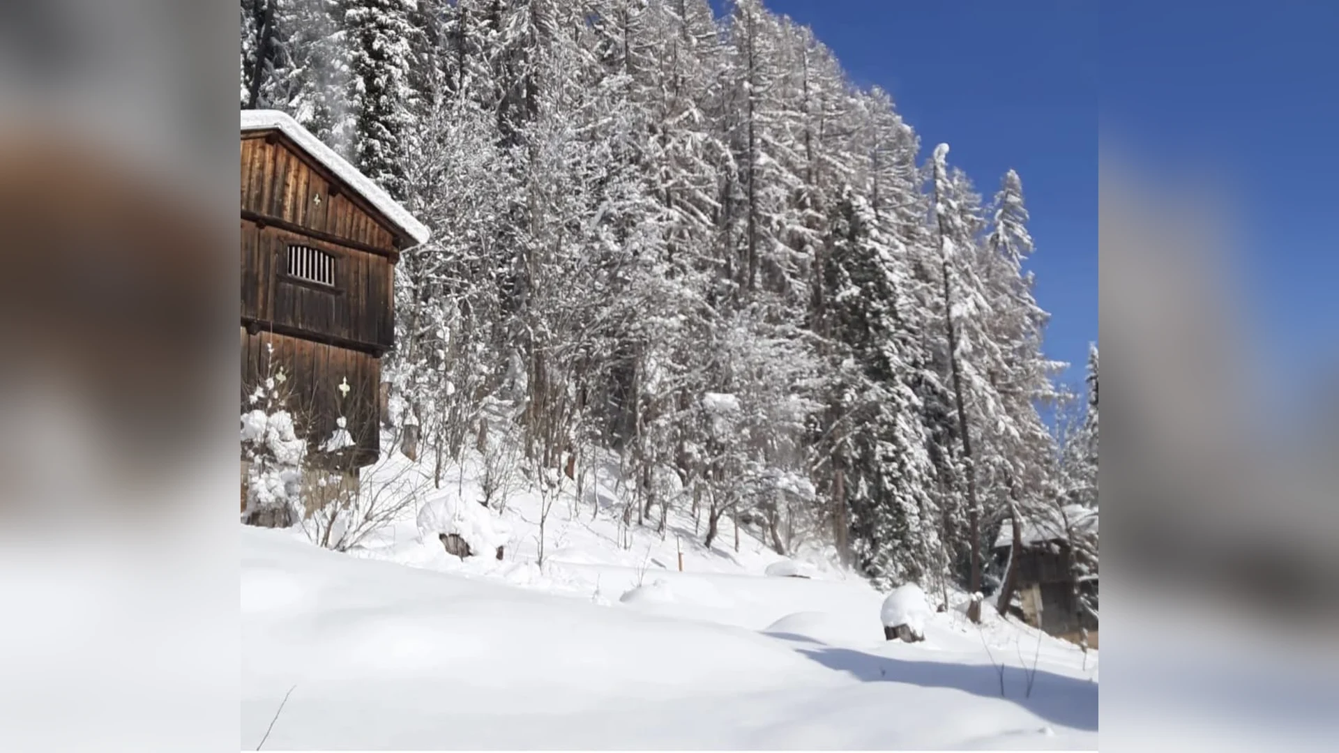 Esterni di Casa Sagui, Zoppè di Cadore (Belluno) (foto 62)